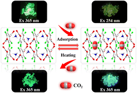 Graphical abstract: CO2-responsive tunable persistent luminescence in a hydrogen-bond organized two-component ionic crystal