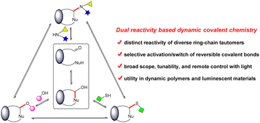 Graphical abstract: Dual reactivity based dynamic covalent chemistry: mechanisms and applications
