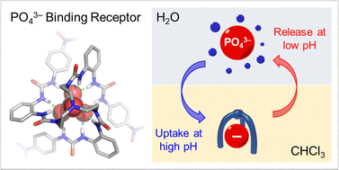 Graphical abstract: pH-Dependent phosphate separation using a tripodal hexaurea receptor