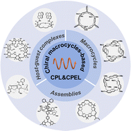 Graphical abstract: Advances in circularly polarized luminescence materials based on chiral macrocycles