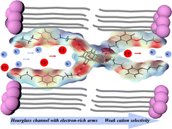 Graphical abstract: Reversing the ion transport selectivity through arm modification of an artificial molecular hourglass