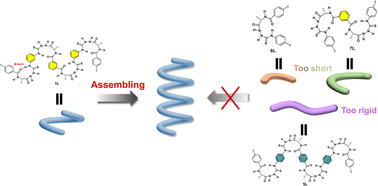 Graphical abstract: Supramolecular helix of an oligomeric azapeptide building block containing four β-turn structures