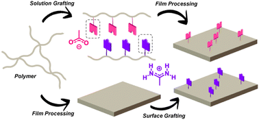 Graphical abstract: Highly efficient grafting of hetero-complementary amidinium and carboxylate hydrogen-bonding/ionic pairs onto polymer surfaces