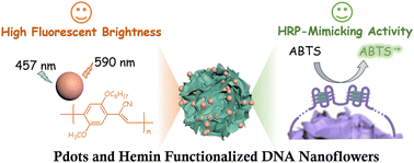 Graphical abstract: Dual-mode optical biosensor based on multi-functional DNA structures for detecting bioactive small molecules