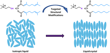 Graphical abstract: Understanding the effects of targeted modifications on the 1 : 2 Choline And GEranate structure