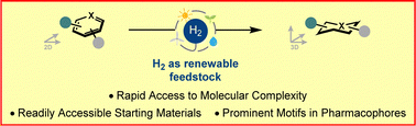 Graphical abstract: Asymmetric arene hydrogenation: towards sustainability and application