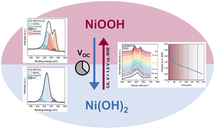 Graphical abstract: Stability and decomposition pathways of the NiOOH OER active phase of NiOx electrocatalysts at open circuit potential traced by ex situ and in situ spectroscopies