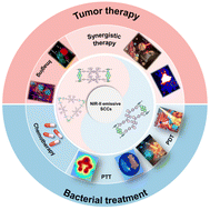 Graphical abstract: Recent advances on the construction of long-wavelength emissive supramolecular coordination complexes for photo-diagnosis and therapy
