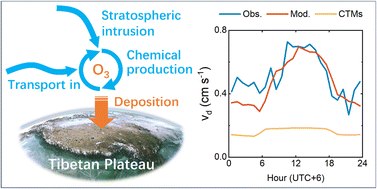 Graphical abstract: Improving model representation of rapid ozone deposition over soil in the central Tibetan Plateau