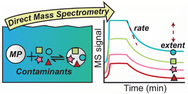 Graphical abstract: Monitoring microplastic–contaminant sorption processes in real-time using membrane introduction mass spectrometry