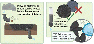 Graphical abstract: Controlling saturation to improve per- and polyfluoroalkyl substance (PFAS) removal in biochar-amended stormwater bioretention systems