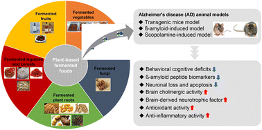 Graphical abstract: Potential neuroprotective benefits of plant-based fermented foods in Alzheimer's disease: an update on preclinical evidence