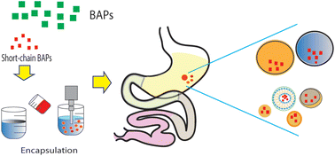 Graphical abstract: Encapsulation of short-chain bioactive peptides (BAPs) for gastrointestinal delivery: a review