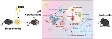 Graphical abstract: Long-term intake of thermo-induced oxidized oil results in anxiety-like and depression-like behaviors: involvement of microglia and astrocytes