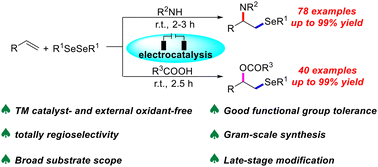 Graphical abstract: Versatile electrooxidative amino- and oxyselenation of alkenes
