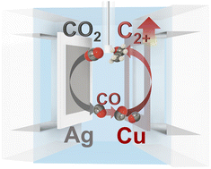 Graphical abstract: Bipotentiostatic tandem electrocatalysis of the CO2 reduction reaction yielding C2+ fuels