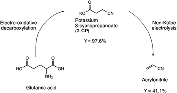 Graphical abstract: Electrochemical transformation of d,l-glutamic acid into acrylonitrile