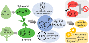 Graphical abstract: Efficient synthesis of fully renewable, furfural-derived building blocks via formal Diels–Alder cycloaddition of atypical addends