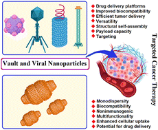 Graphical abstract: Vault, viral, and virus-like nanoparticles for targeted cancer therapy