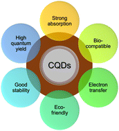 Graphical abstract: A review on plant derived carbon quantum dots for bio-imaging