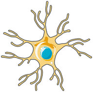 Graphical abstract: Druggable targets for the immunopathy of Alzheimer's disease