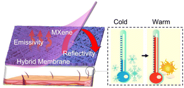 Graphical abstract: Toward low-emissivity passive heating: a supramolecular-enhanced membrane with warmth retention