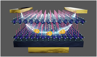 Graphical abstract: Unveiling the role of linear alkyl organic cations in 2D layered tin halide perovskite field-effect transistors