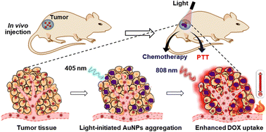 Graphical abstract: Light-initiated aggregation of gold nanoparticles for synergistic chemo-photothermal tumor therapy