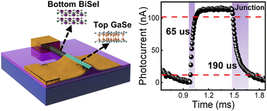 Graphical abstract: A mixed-dimensional quasi-1D BiSeI nanowire-2D GaSe nanosheet p–n heterojunction for fast response optoelectronic devices