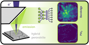 Graphical abstract: Hyperspectral mapping of nanoscale photophysics and degradation processes in hybrid perovskite at the single grain level