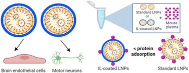 Graphical abstract: Ionic liquid-coated lipid nanoparticles increase siRNA uptake into CNS targets