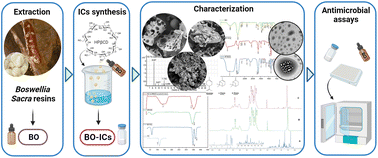 Graphical abstract: Improved antimicrobial activities of Boswellia sacra essential oils nanoencapsulated into hydroxypropyl-beta-cyclodextrins