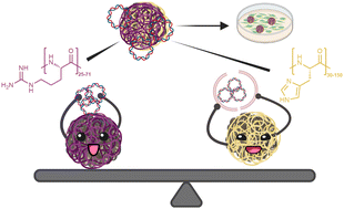 Graphical abstract: A catch-and-release nano-based gene delivery system