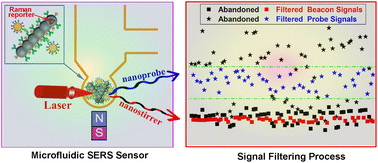 Graphical abstract: Design of Raman reporter-embedded magnetic/plasmonic hybrid nanostirrers for reliable microfluidic SERS biosensors