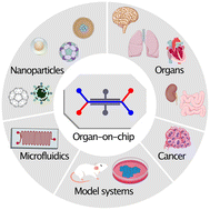 Graphical abstract: Organ-on-chip systems as a model for nanomedicine