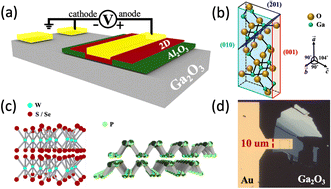 Graphical abstract: Vertical van der Waals heterojunction diodes comprising 2D semiconductors on 3D β-Ga2O3