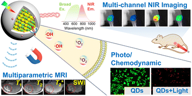 Graphical abstract: Building in biologically appropriate multifunctionality in aqueous copper indium selenide-based quantum dots