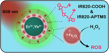 Graphical abstract: Achieving photostability in dye-sensitized upconverting nanoparticles and their use in Fenton type photocatalysis