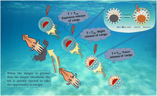 Graphical abstract: Biomimetic submicromotor with NIR light triggered motion and cargo release inspired by cuttlefish