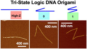 Graphical abstract: Tri-state logic computation by activating DNA origami chains