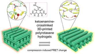 Graphical abstract: 3D-printed ketoenamine crosslinked polyrotaxane hydrogels and their mechanochromic responsiveness