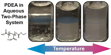 Graphical abstract: Thermoresponsive behaviour of poly(N,N-diethylacrylamide) in aqueous two-phase systems