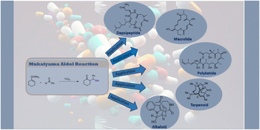 Graphical abstract: Mukaiyama aldol reaction: an effective asymmetric approach to access chiral natural products and their derivatives/analogues