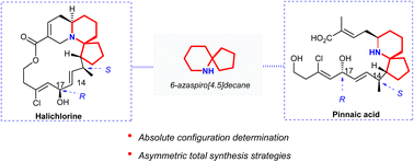 Graphical abstract: Asymmetric total synthesis strategies of halichlorine and pinnaic acid