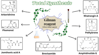 Graphical abstract: Gilman reagent toward the synthesis of natural products