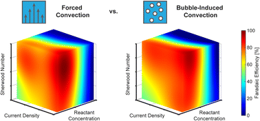 Graphical abstract: Understanding the effects of forced and bubble-induced convection in transport-limited organic electrosynthesis