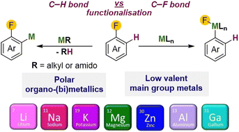 Graphical abstract: Main group metal-mediated strategies for C–H and C–F bond activation and functionalisation of fluoroarenes