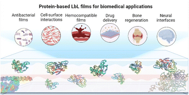 Graphical abstract: Protein-based layer-by-layer films for biomedical applications