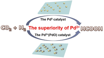 Graphical abstract: The superiority of Pd2+ in CO2 hydrogenation to formic acid