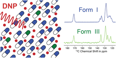 Graphical abstract: A focus on detection of polymorphs by dynamic nuclear polarization solid-state nuclear magnetic resonance spectroscopy